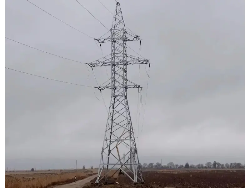 माओ टोंग की ग्राहक प्रतिक्रिया